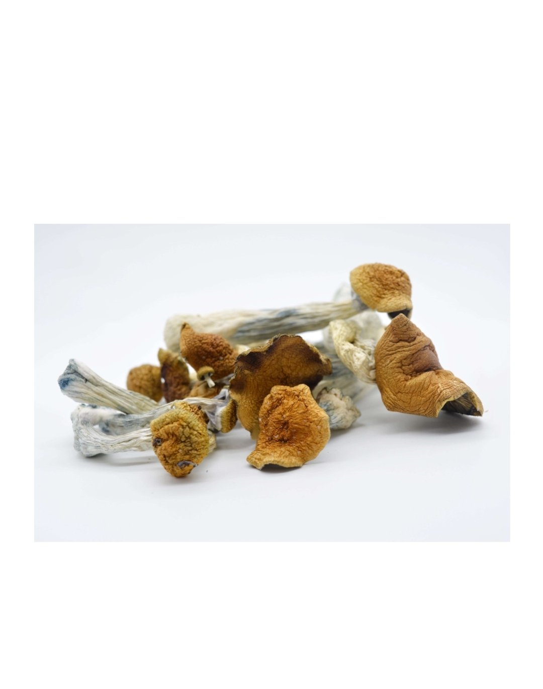 Blue Meanie Magic Mushrooms 28 grams 1oz - Image 4