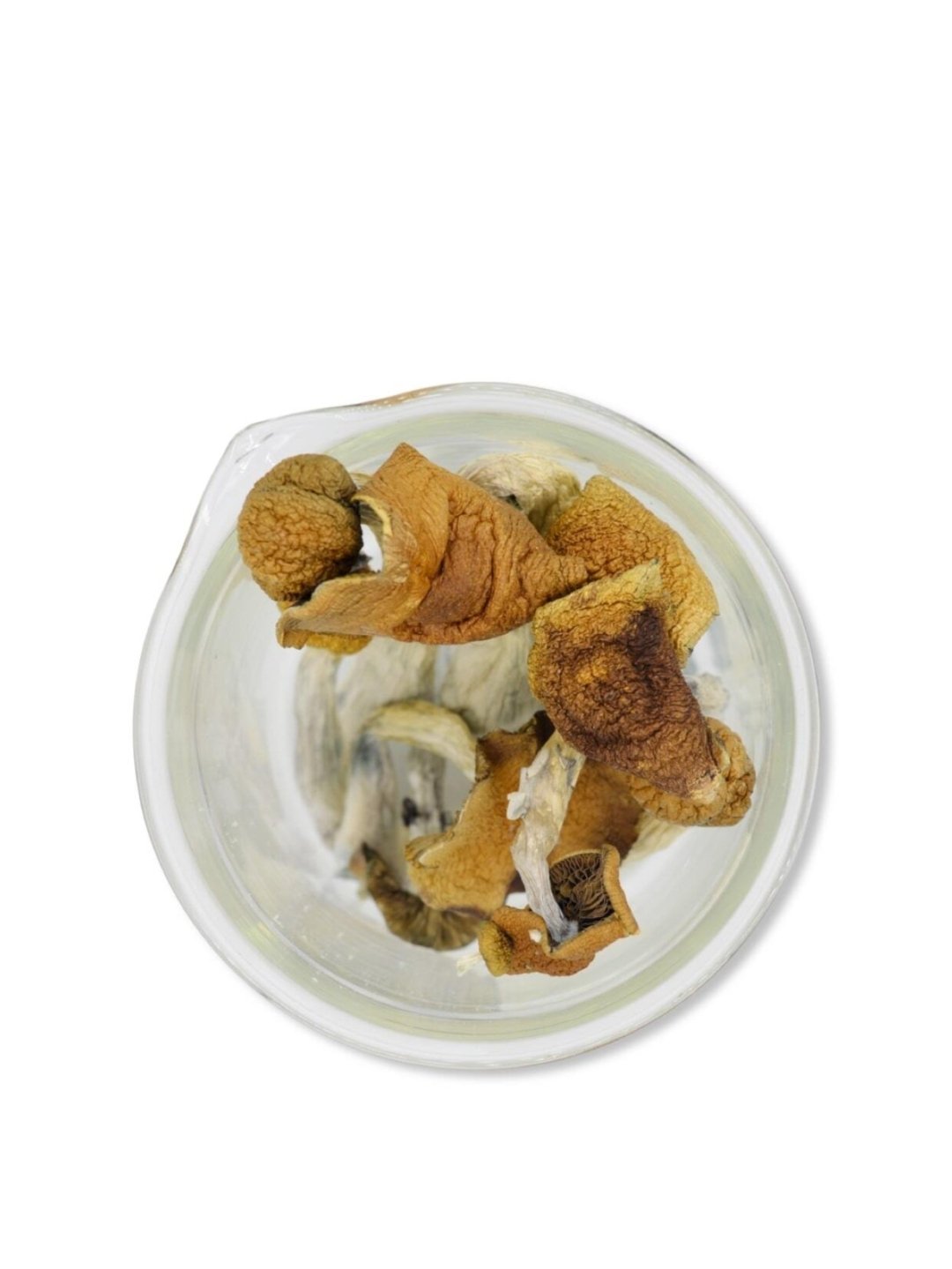 Blue Meanie Magic Mushrooms 28 grams 1oz - Image 3