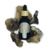 PSILOCYBE MUSHROOM TINCTURE 30ml - Image 3