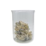 Enigma Magic Mushrooms 28g 1oz