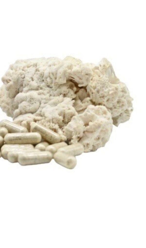 Lions Mane Supplement Capsules (500mg) - Image 2
