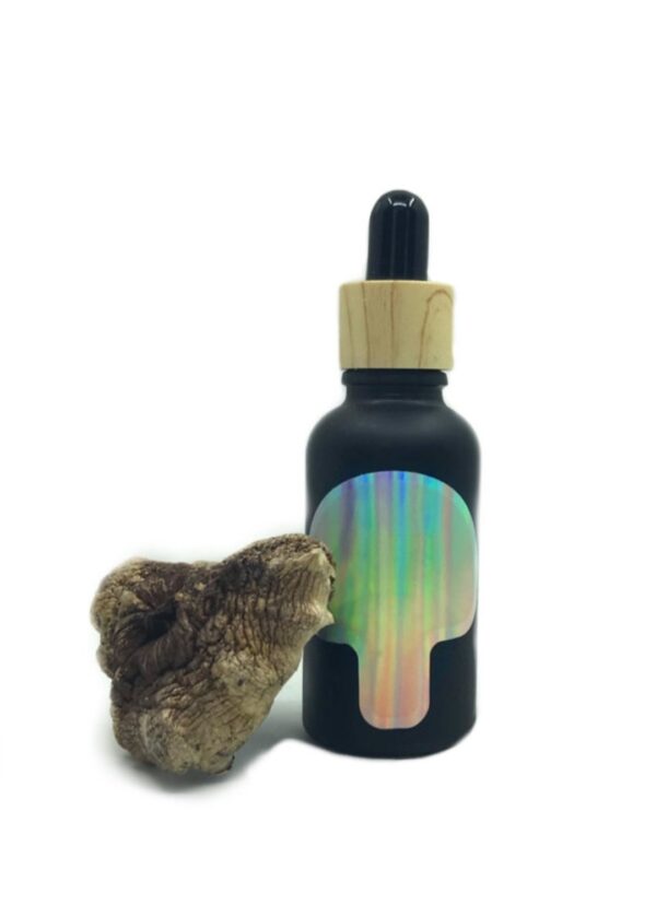 PSILOCYBE MUSHROOM TINCTURE 30ml - Image 2