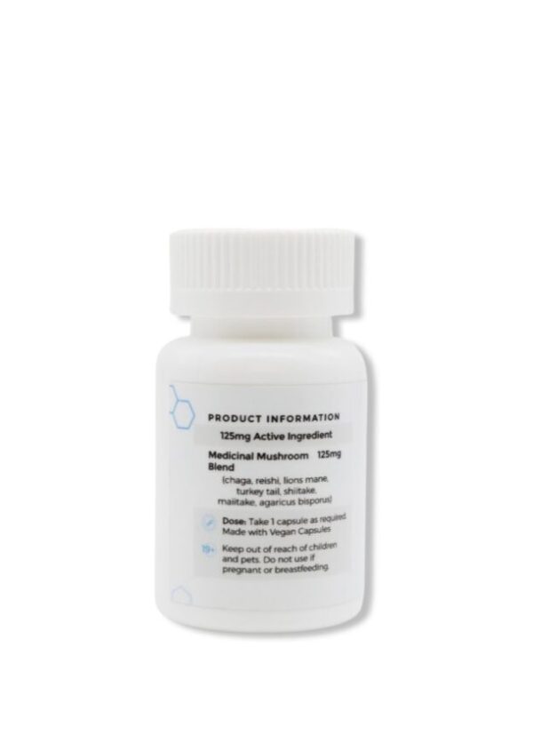 Lions Mane Supplement Capsules (500mg)